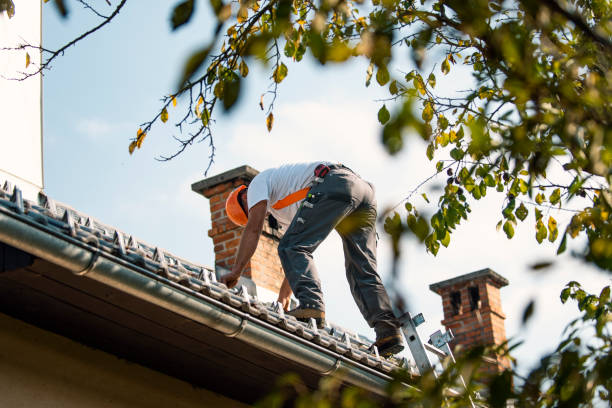 Best Flat Roof Repair Services  in Jenison, MI