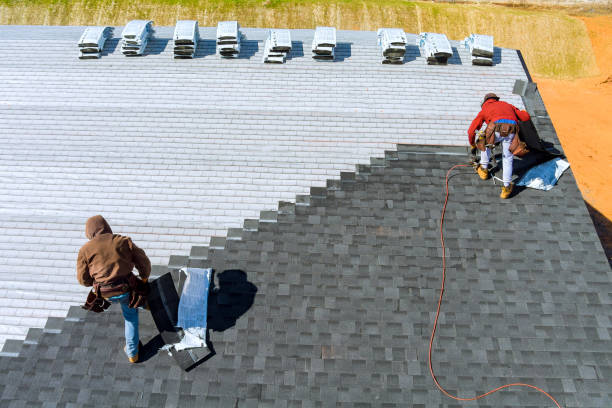 Best Metal Roofing Contractor  in Jenison, MI
