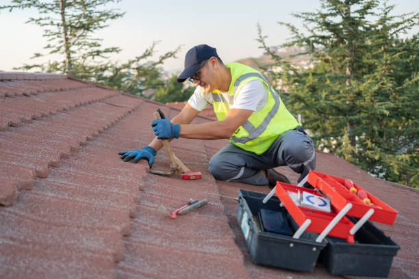 Best Roof Gutter Cleaning  in Jenison, MI