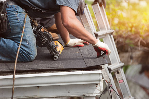 Best Roof Repair Services  in Jenison, MI