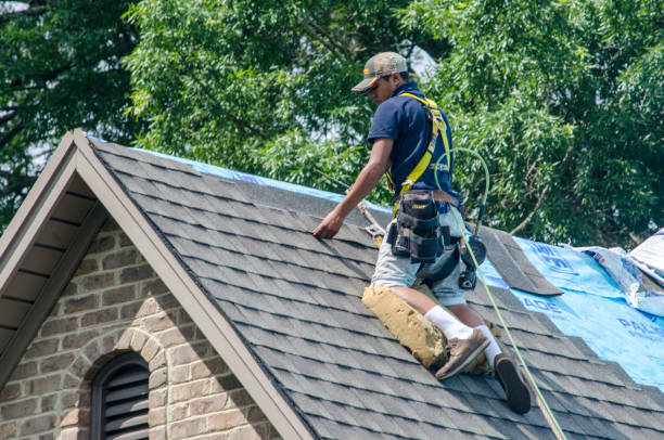 Best Gutter Installation and Roofing  in Jenison, MI